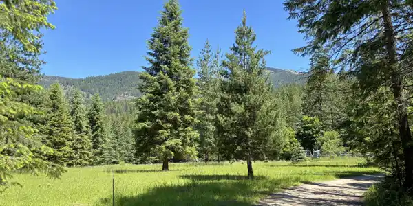 Image 2: 002 View from driveway