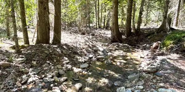 Image 3: 003 Mosquito Creek