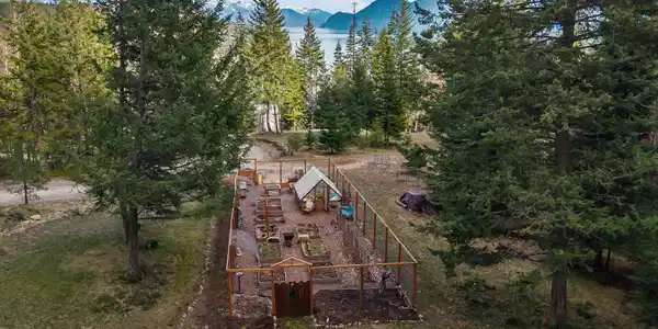 Image 4: Garden