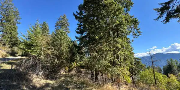 Image 4: L21 & L22 N TERRACE DR, Bayview, ID