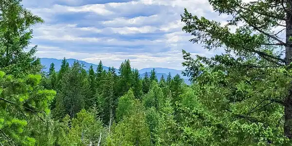 NNA W Gold Creek Ridge Rd