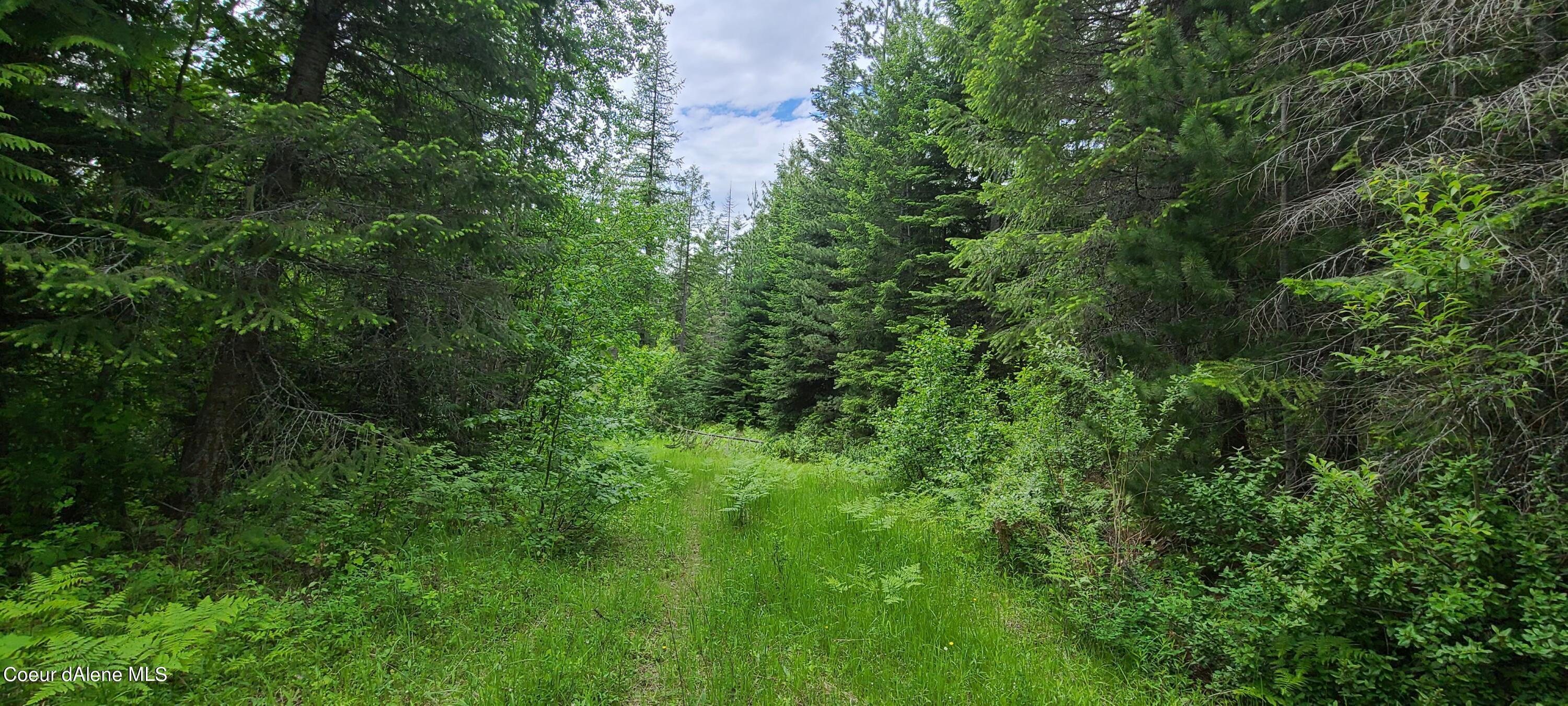Image 2: Top of the Ridge
