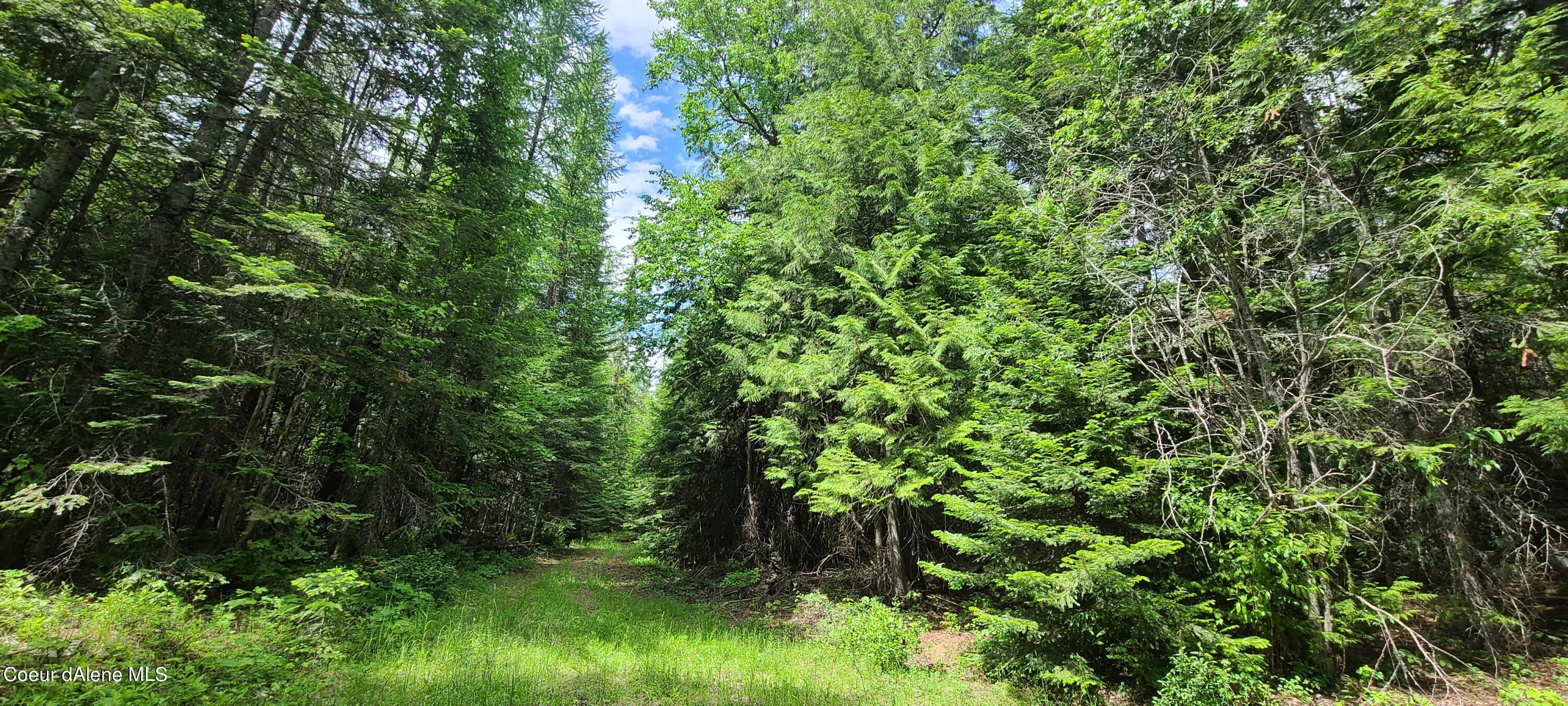 Image 3: 20210608_143748