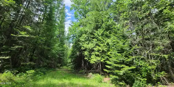Image 3: 20210608_143748