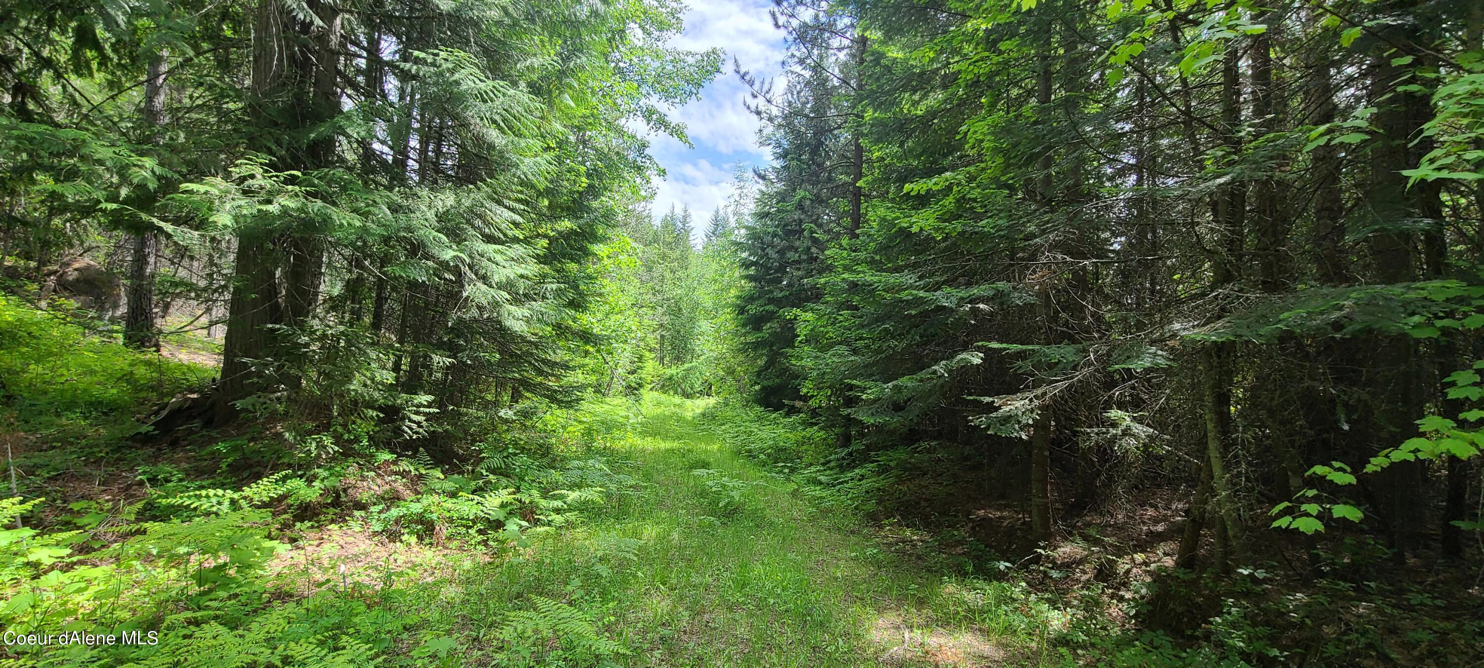 Image 4: 20210608_143756