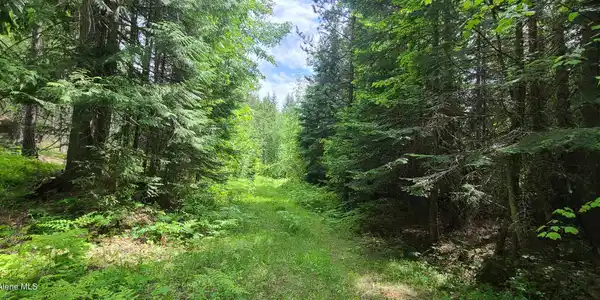 Image 4: 20210608_143756