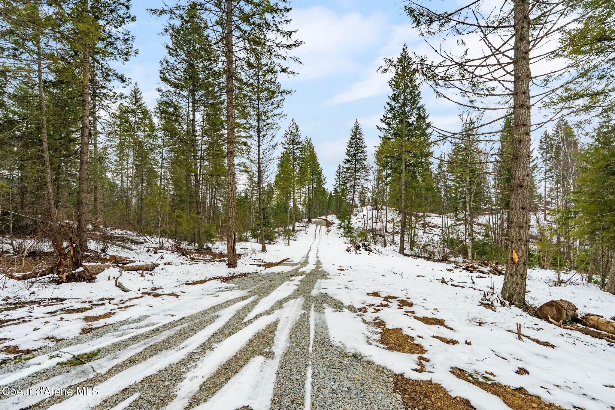 Image 3: Road