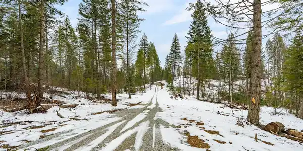 Image 3: Road