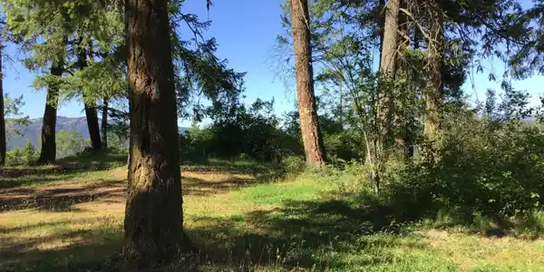 Image 2: Property views