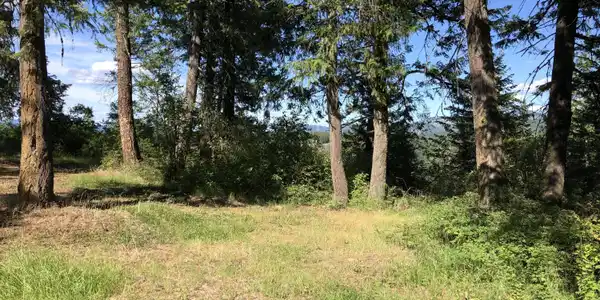 Image 3: Property view