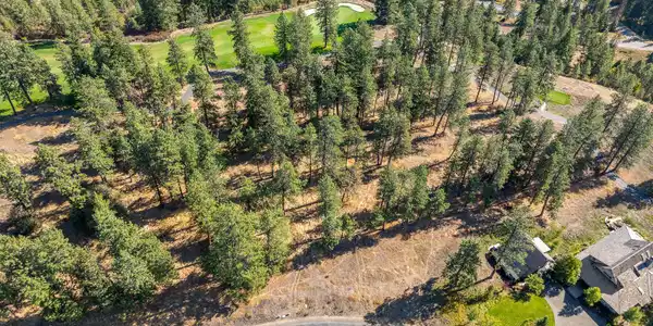 Image 2: Aerial_Lot203-1