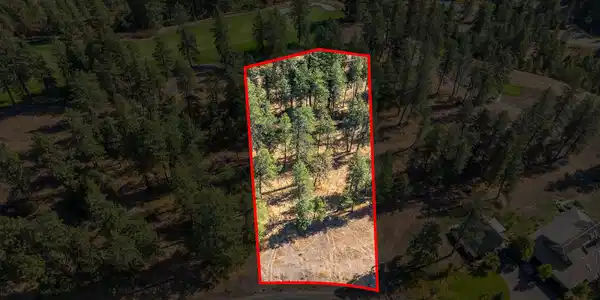 Image 3: Aerial_Lot203-1_Outlined