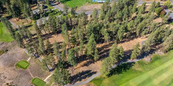 Image 4: Aerial_Lot203-2