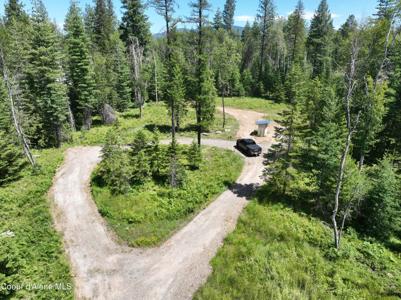 Wild Fawn Rd