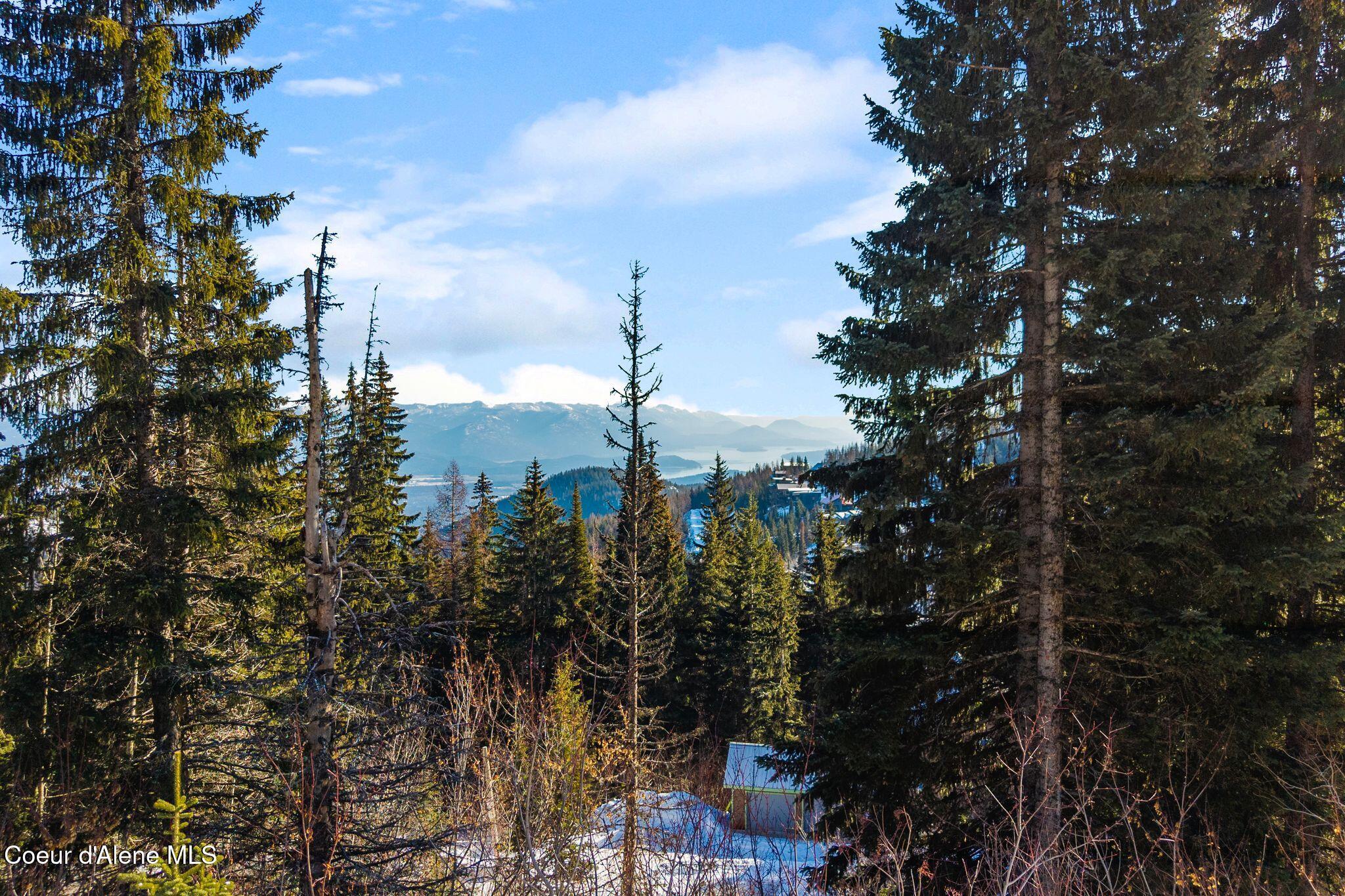 Image 2: NNA Mogul Hill