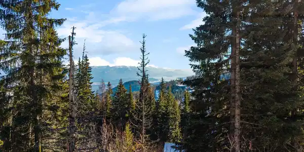 Image 2: NNA Mogul Hill