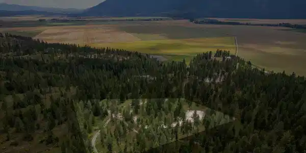 Image 3: DJI_0086-Edit