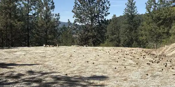 Image 3: Building Pad