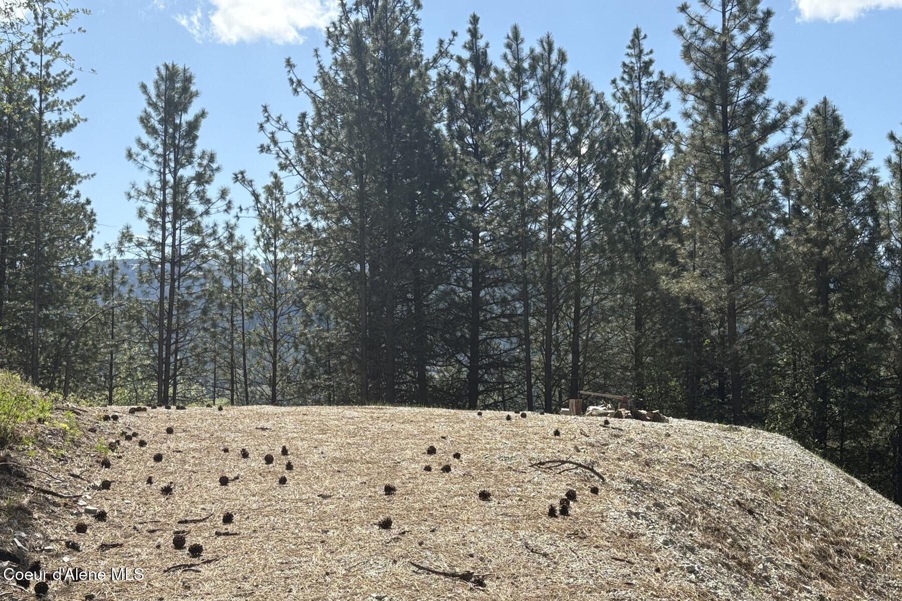Image 4: Building Pad