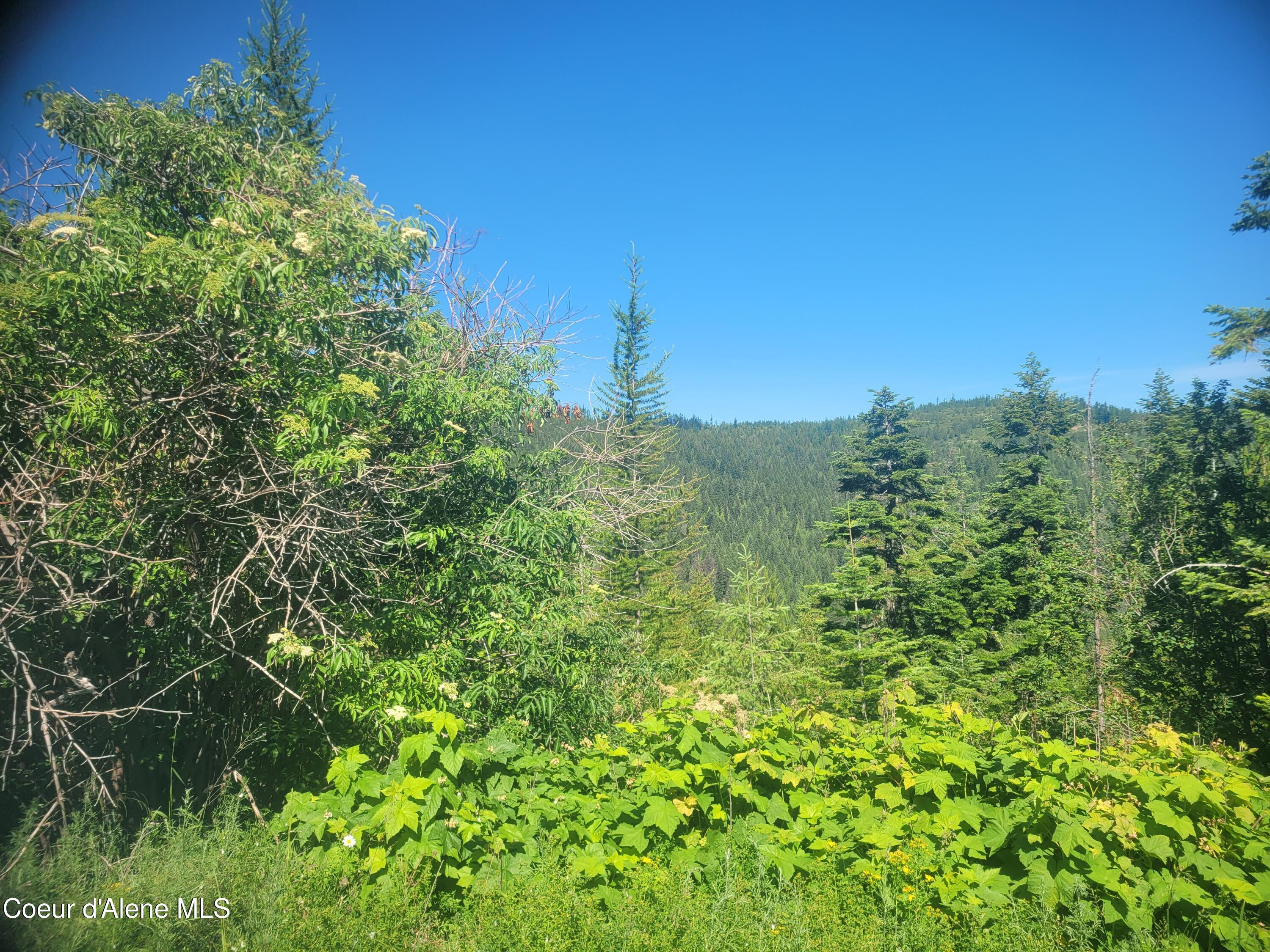 Image 4: 20260702_094239