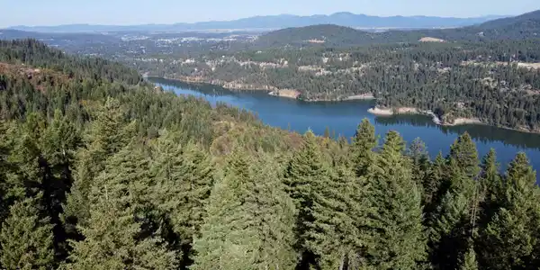Image 2: 2