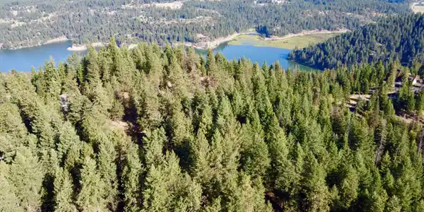 Image 4: 4