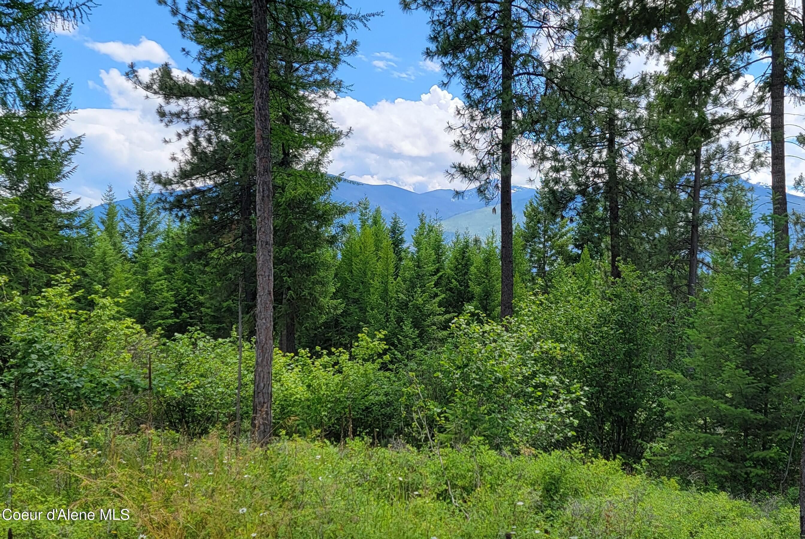 Image 1: 20240619_135158