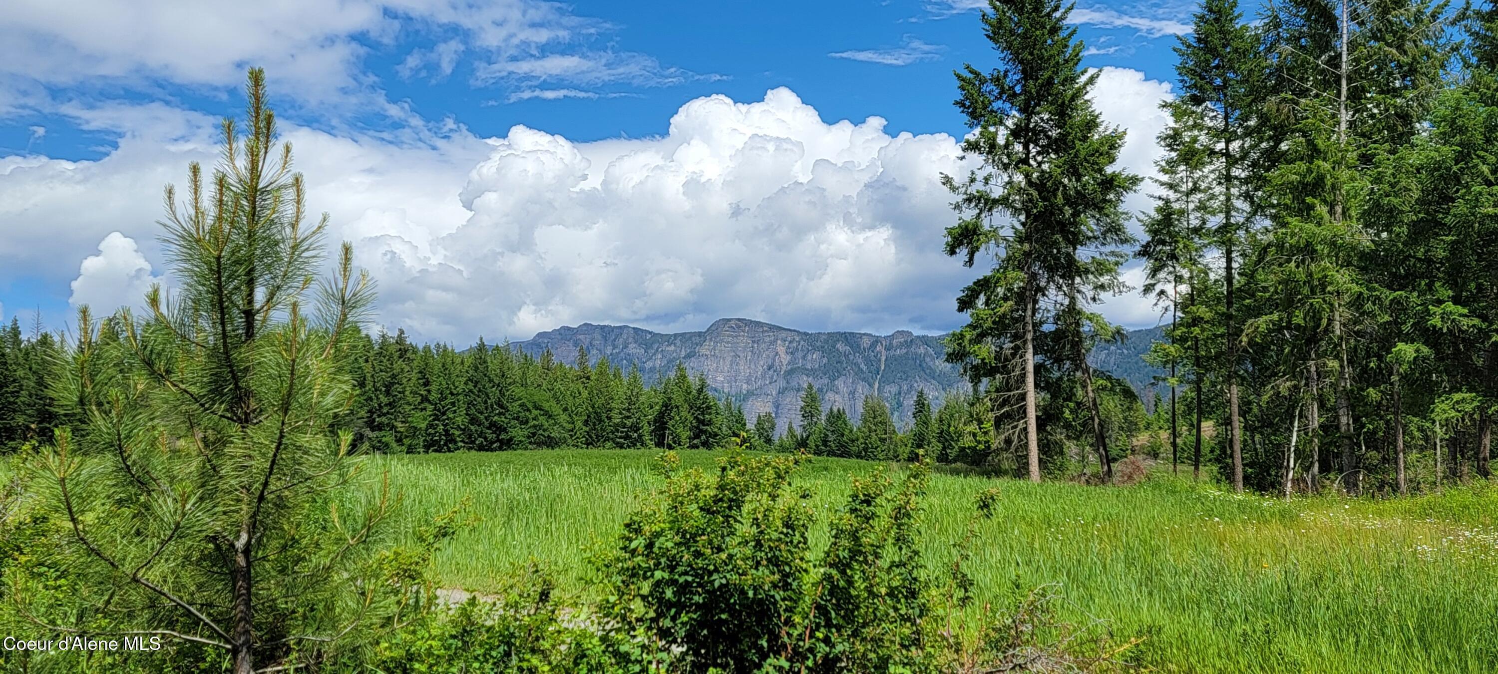 Image 2: 20240619_135002