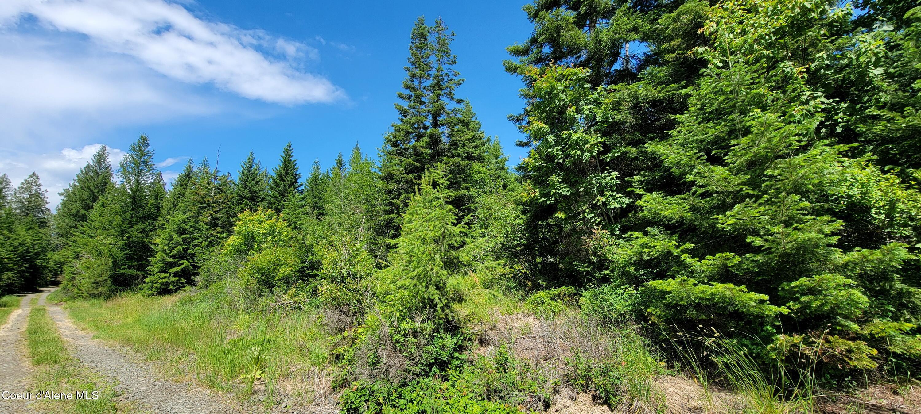 Image 3: 20240619_131232