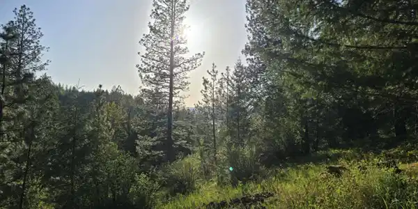 Image 2: NKA Deer Rd