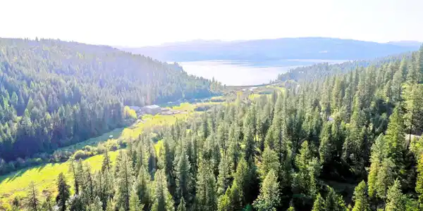 Image 3: NKA Deer Rd