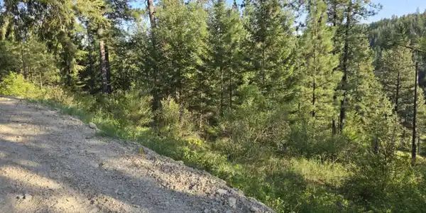 Image 4: NKA Deer Rd