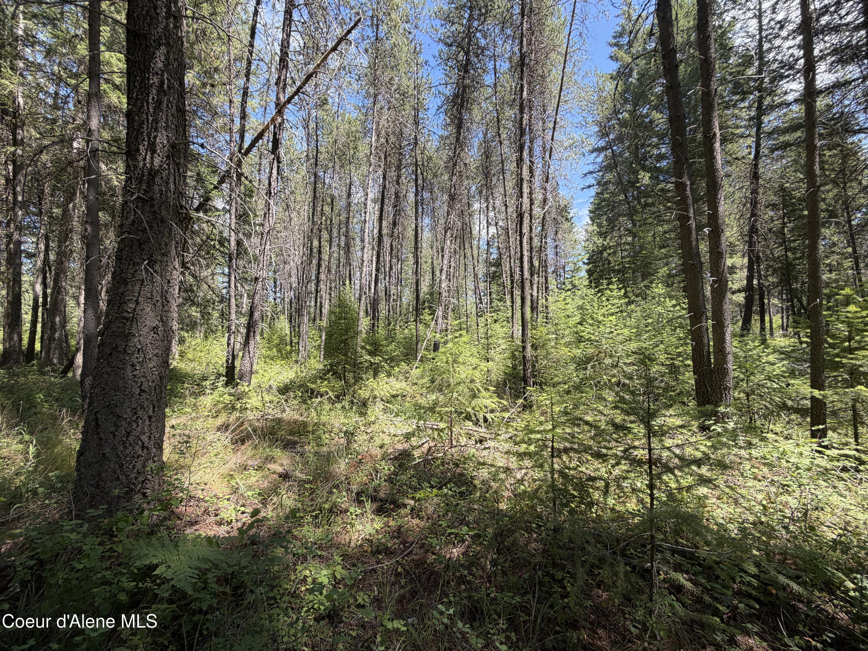 Image 4: IMG_1150