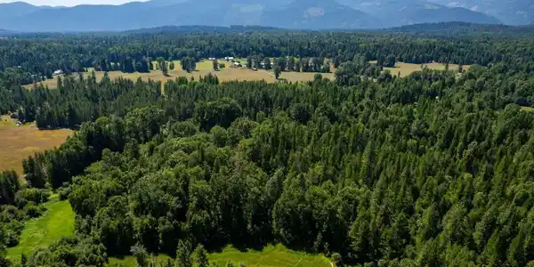 Image 3: Prime Selle Valley Acreage