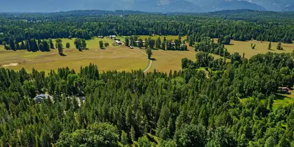 Image 4: Prime Selle Valley Acreage