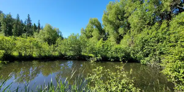 Image 3: 3