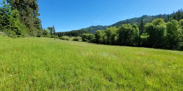 Image 4: 4