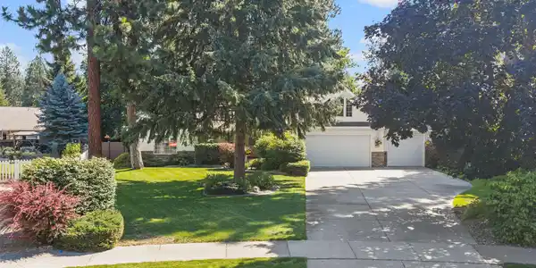 Image 4: Tucked in the Trees