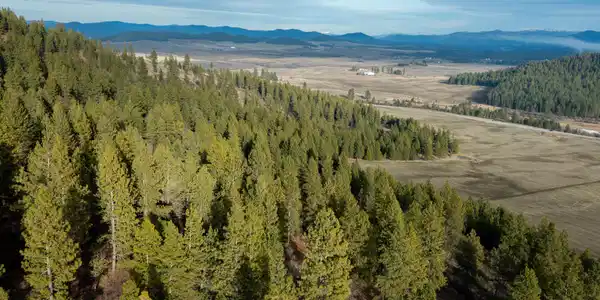 NKA 15 acres