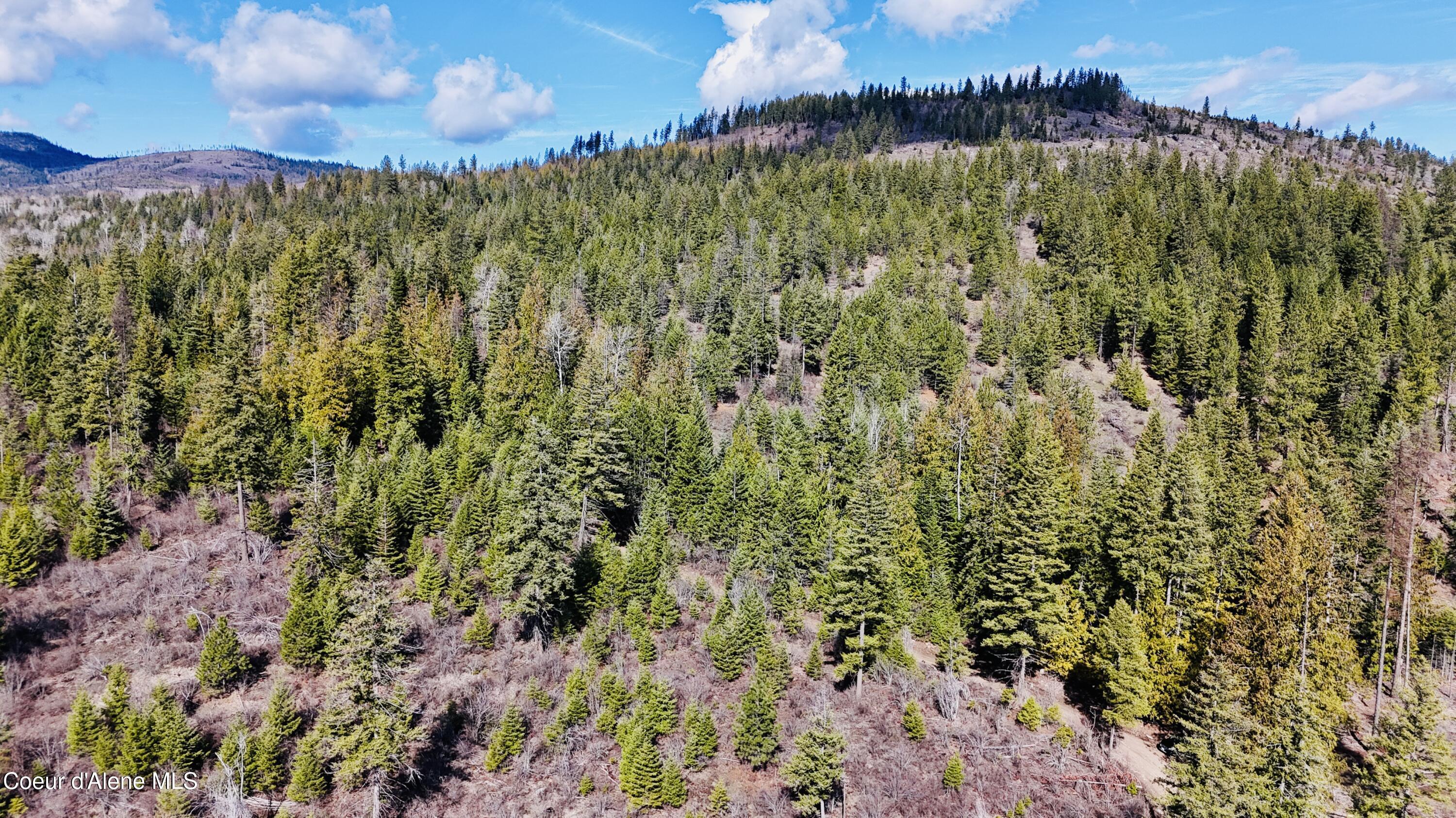 Image 1: dji_fly_20260325_110702_0124_17745488538
