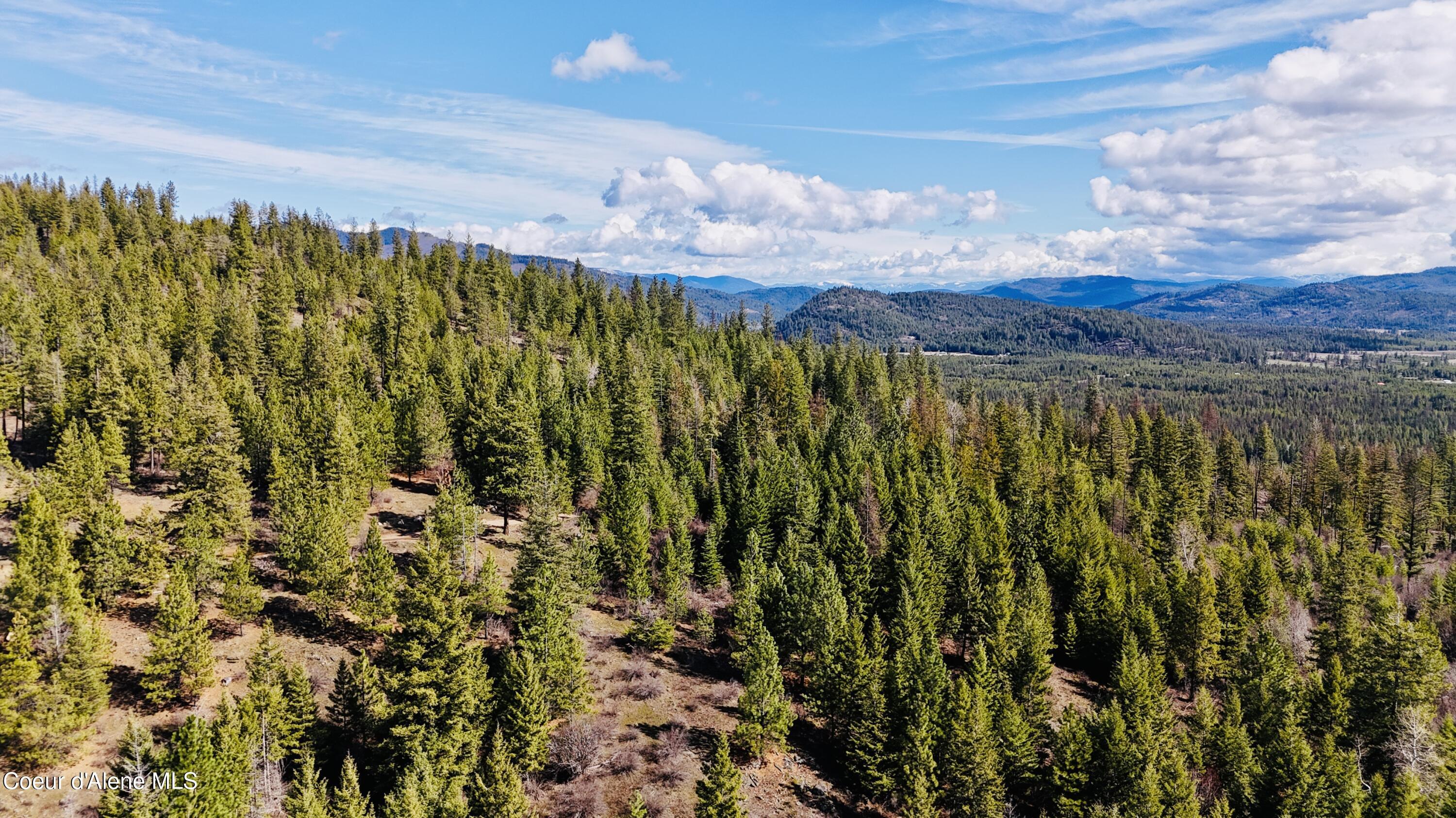 Image 2: dji_fly_20260325_111014_0130_17745488394