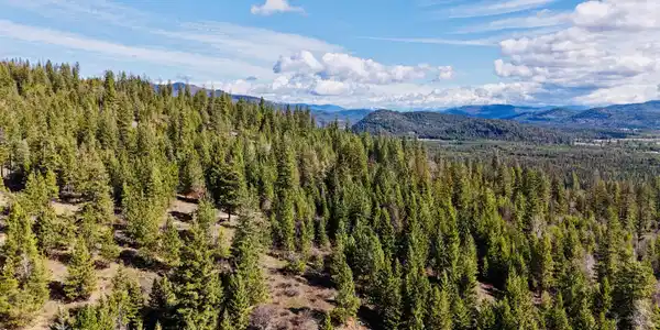 Image 2: dji_fly_20260325_111014_0130_17745488394