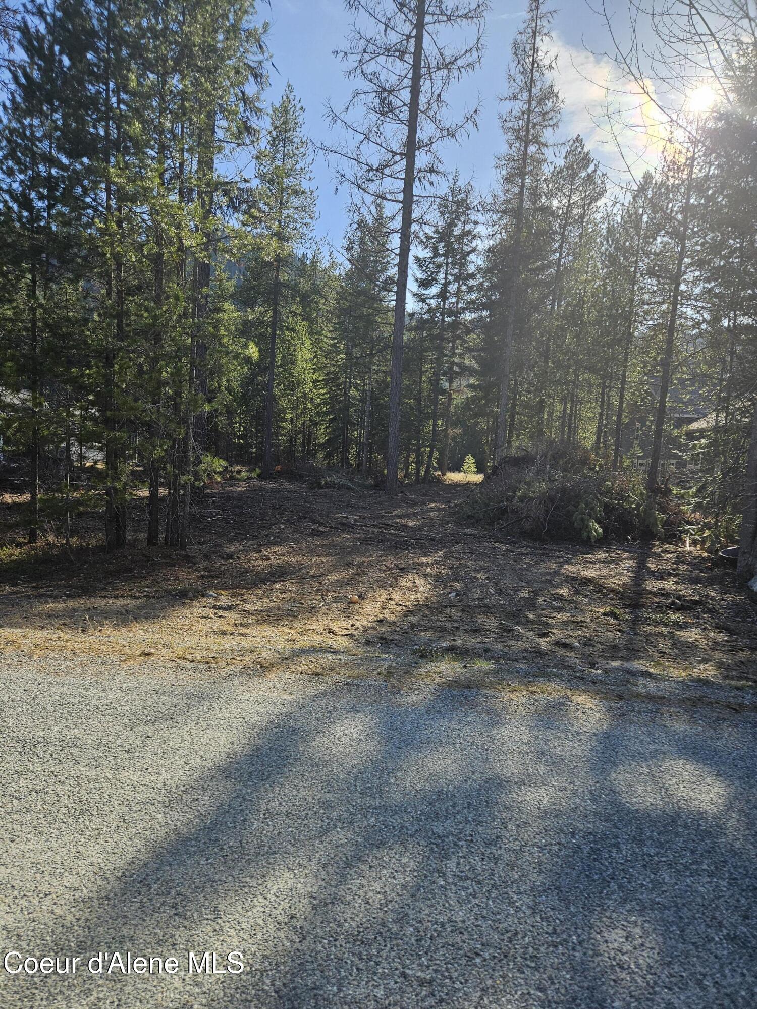 Image 3: Lot straight on