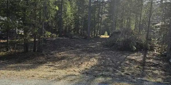 Image 3: Lot straight on
