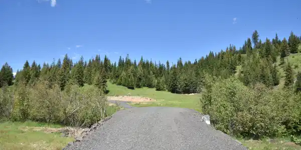 NNA lot 1 Carpenter Creek Rd