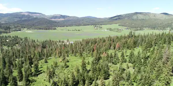 Image 3: DJI_0055