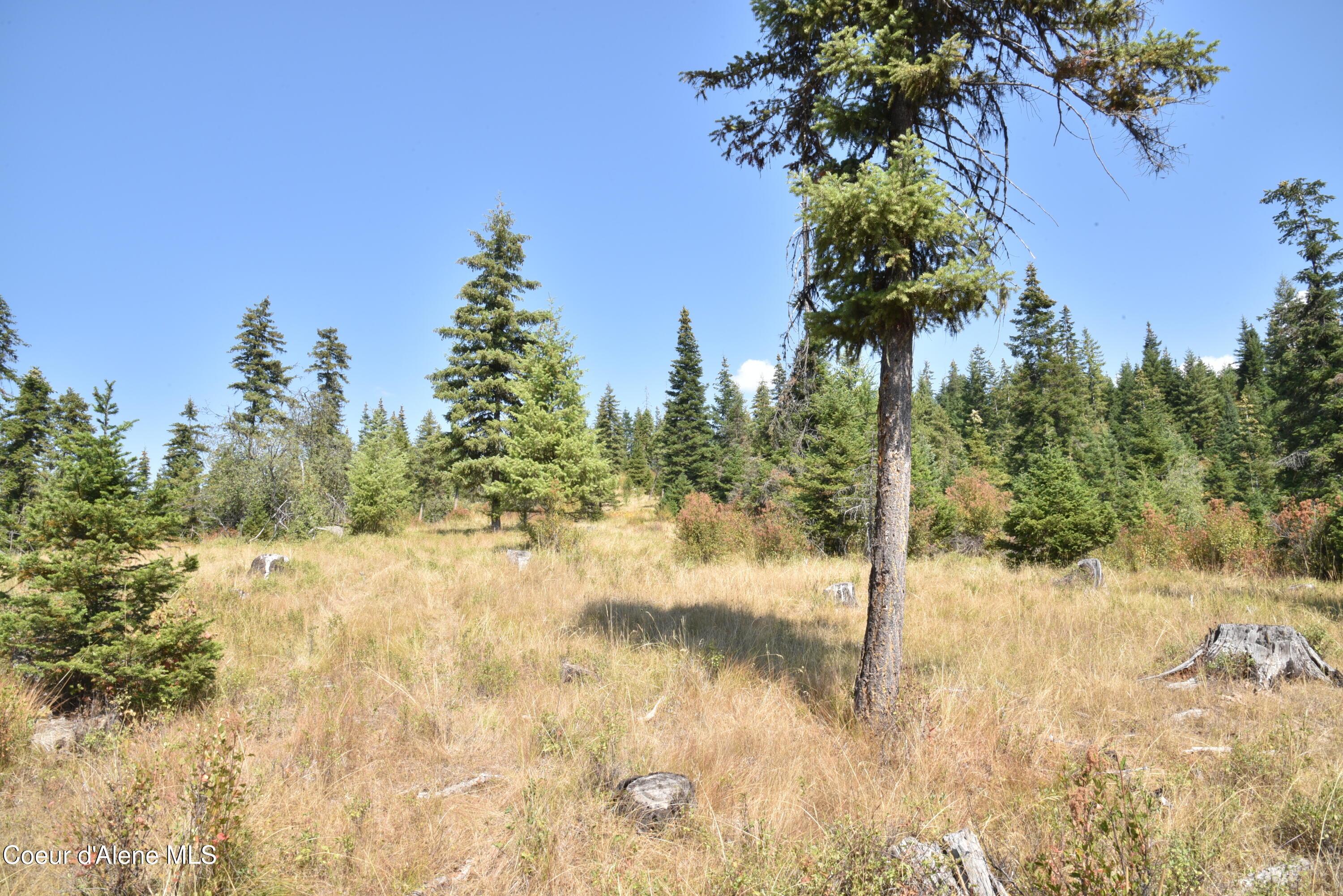 Image 4: 2