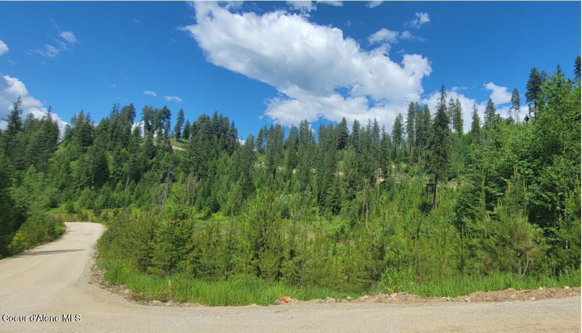 Image 1: Tract 2 Road to North