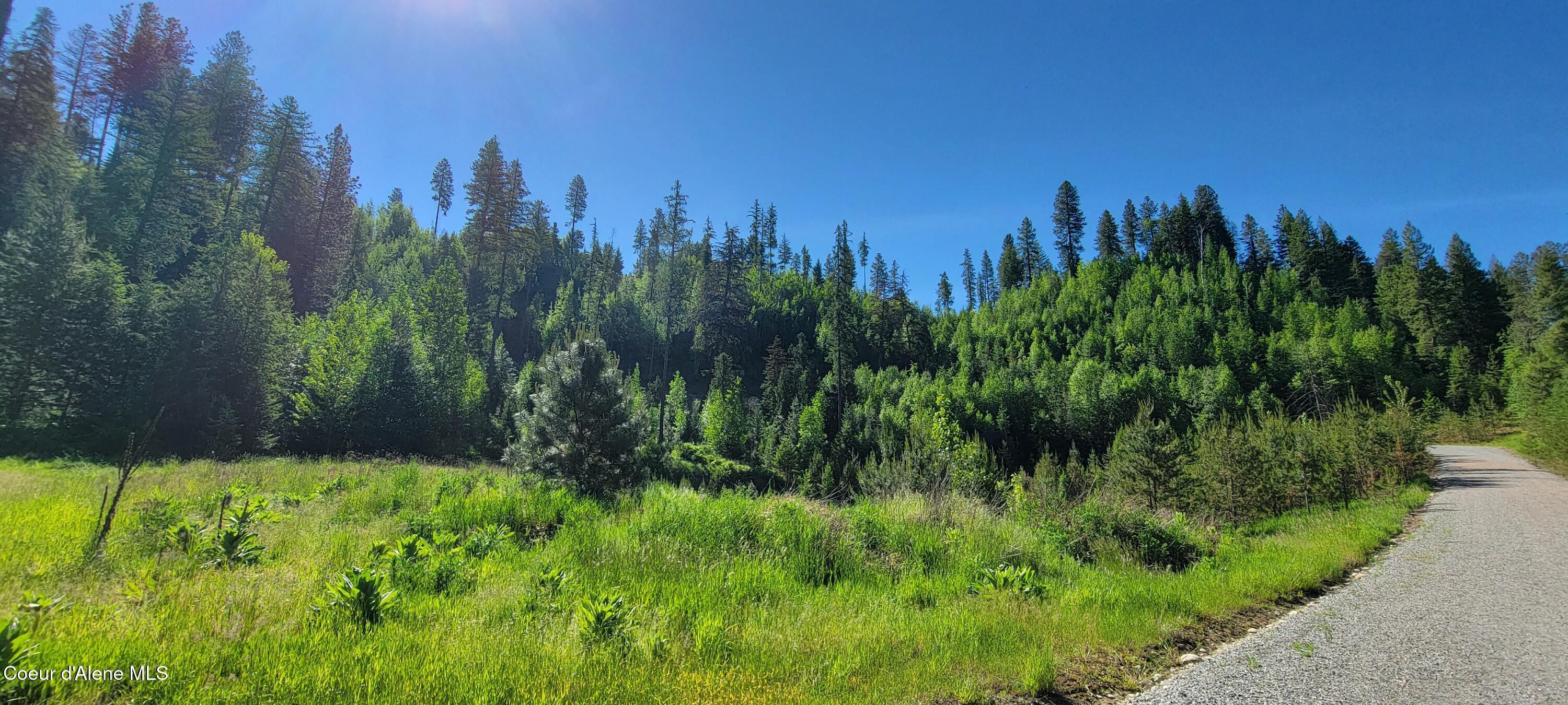 Image 3: 20240607_092709