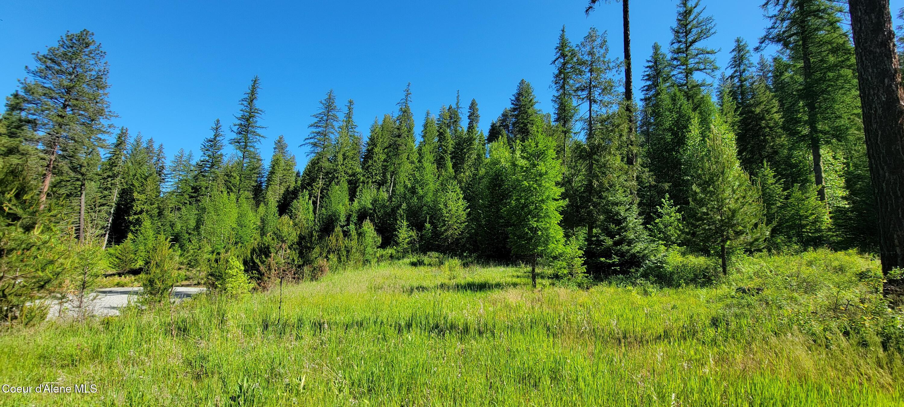 Image 4: 20240607_092737